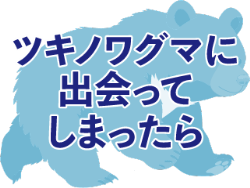 ツキノワグマに出会ってしまったら