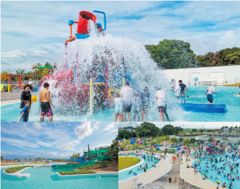 ファミリープールの様子