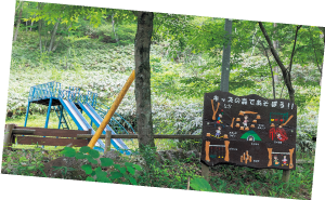 キッズの森の写真