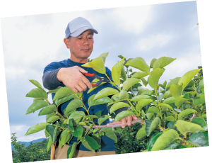 奈良県果樹研究会の皆さん02