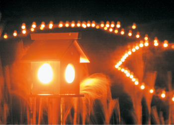 曽爾高原山灯りの写真