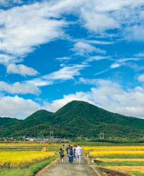 香芝ウォークの様子