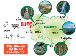 春日原始林の地図