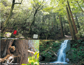 春日大社の神域