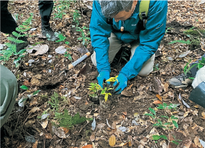 春日山原始林を未来へつなぐ会4