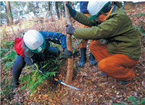 春日山原始林を未来へつなぐ会5