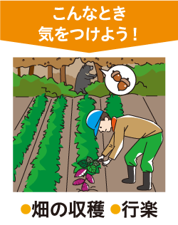 こんなとき気をつけよう!畑の収穫・行事