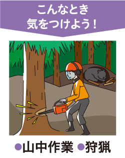 こんなとき気をつけよう!山中作業・狩猟