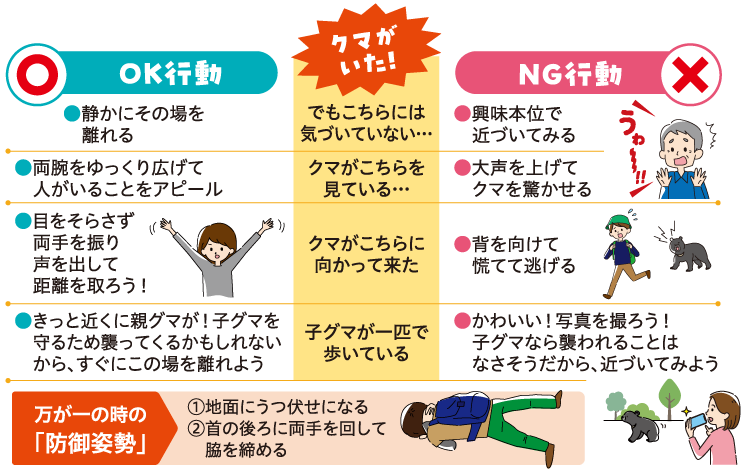 もしもクマに出会ってしまったら