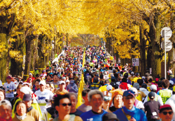 奈良マラソンの写真