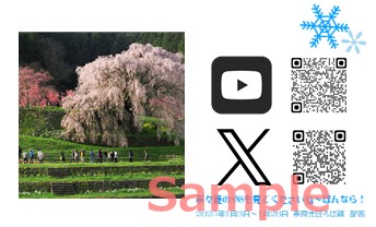 名刺サンプル裏