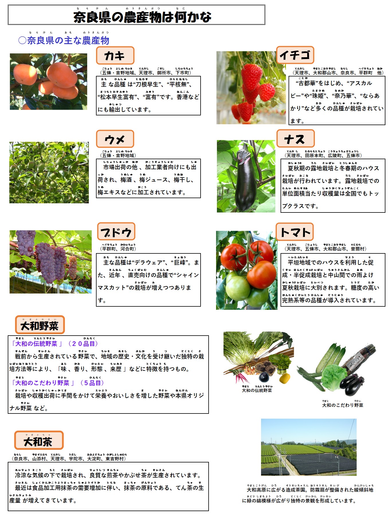 奈良県の農産物