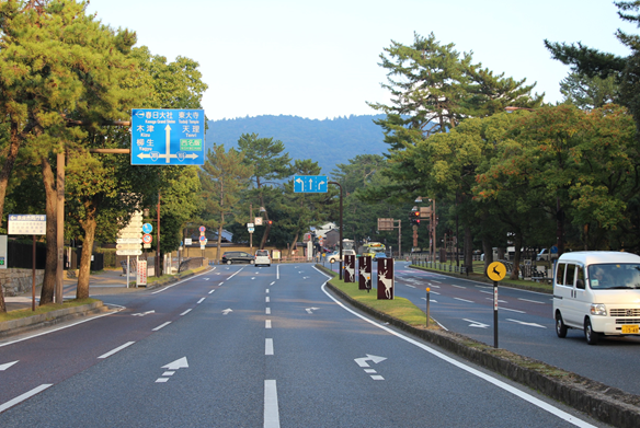 道路に並ぶ鹿の注意看板
