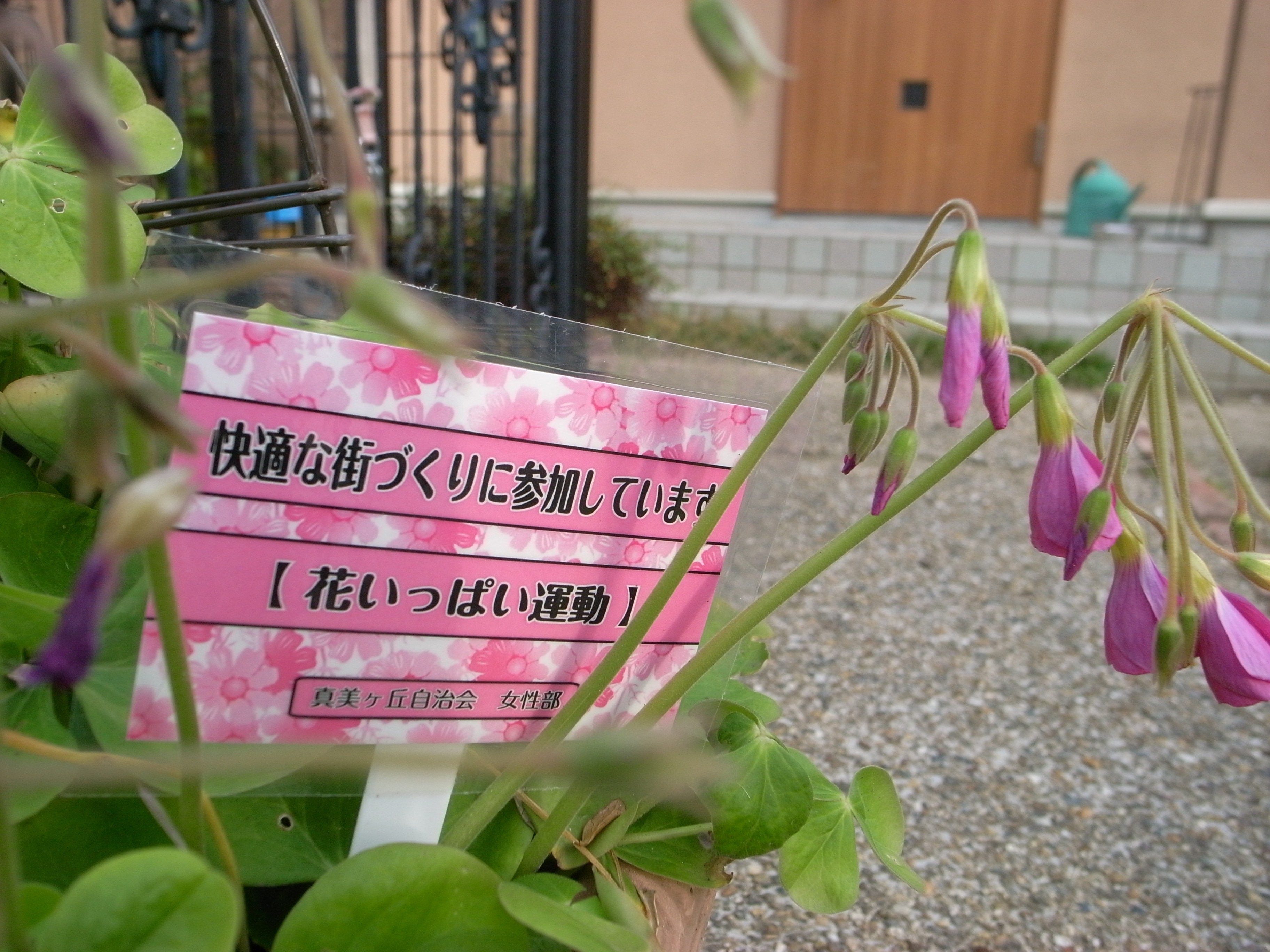 花いっぱい運動の立て札