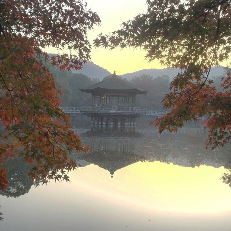 秋の日の出　紅葉越しに眺める浮見堂