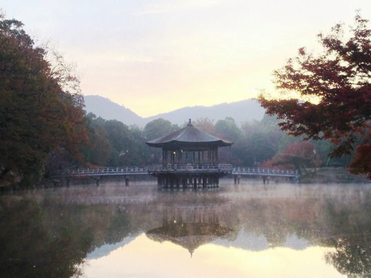秋の日の出 紅葉と毛嵐（水面の霧）