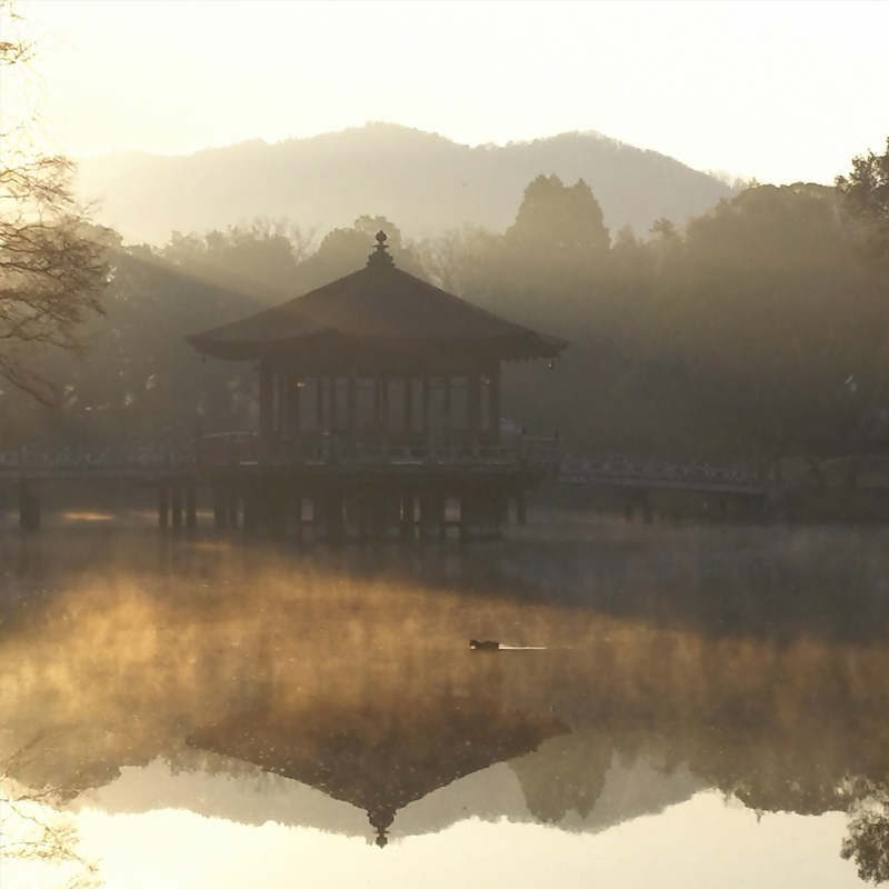 冬の日の出 毛嵐（水面の霧）が立ちこめた様子