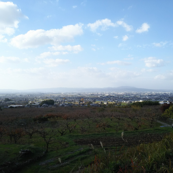 池の前からの眺め　北西2