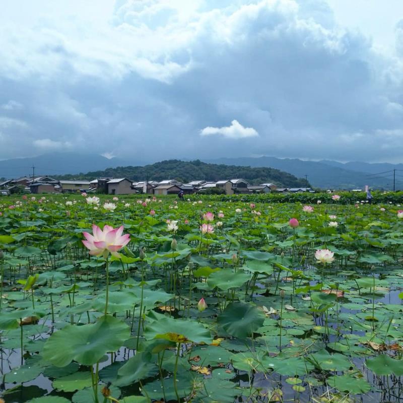 天香具山への眺め