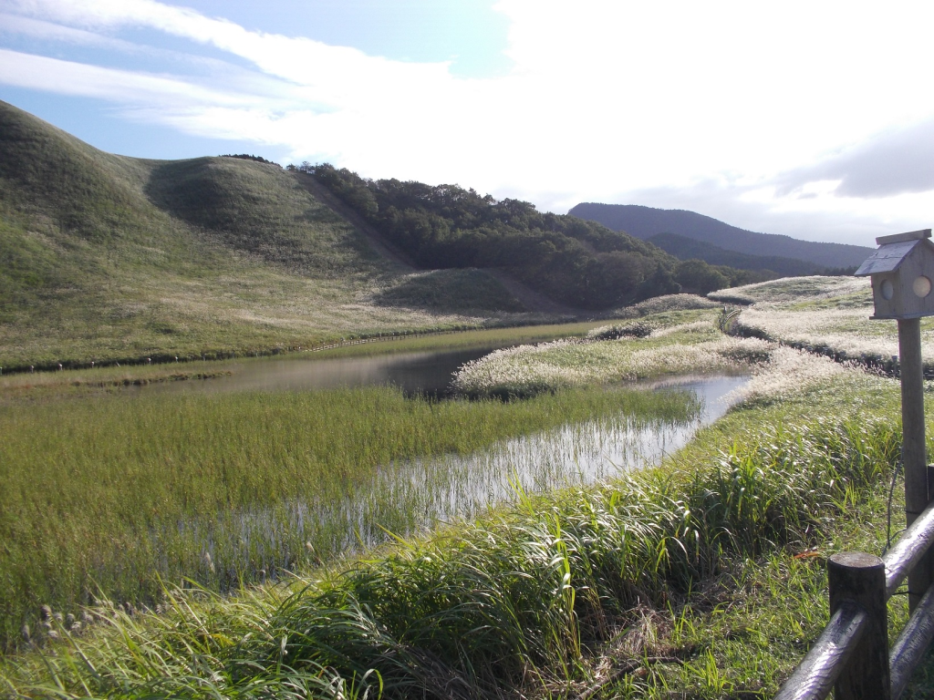 ススキの季節　お亀池