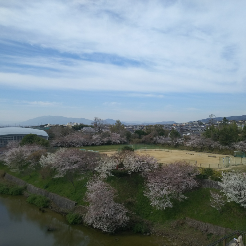 桜の季節・西への眺望