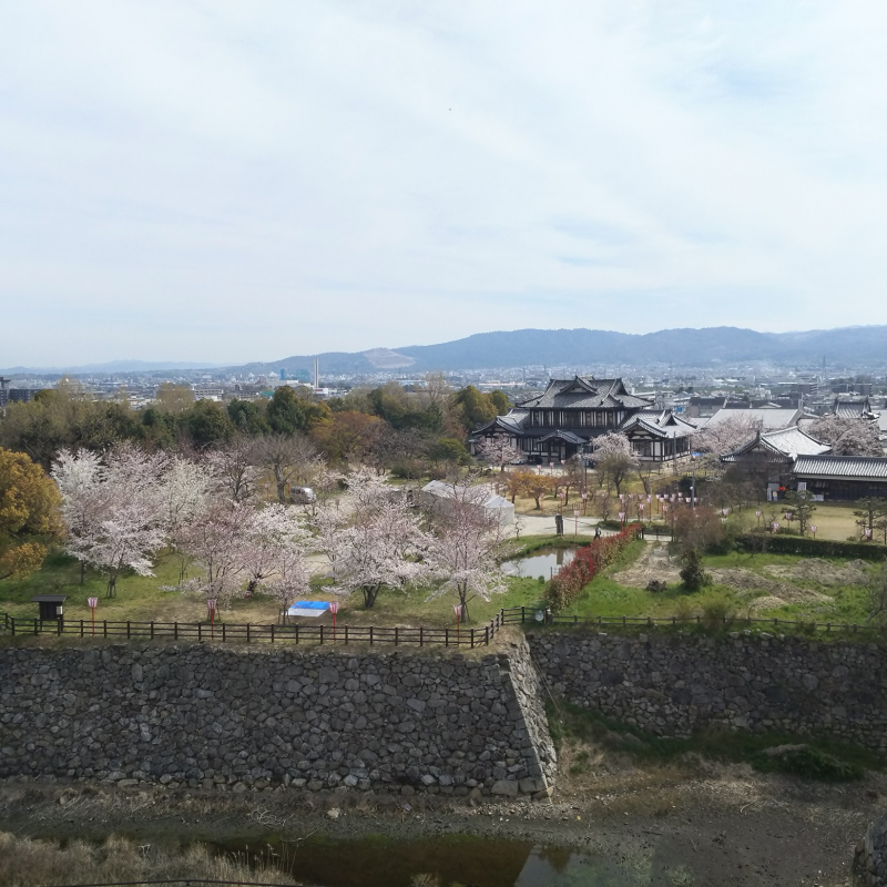 桜の季節・東への眺望1 北寄り