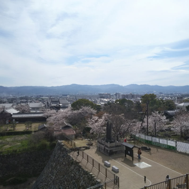 桜の季節・東への眺望2 南寄り