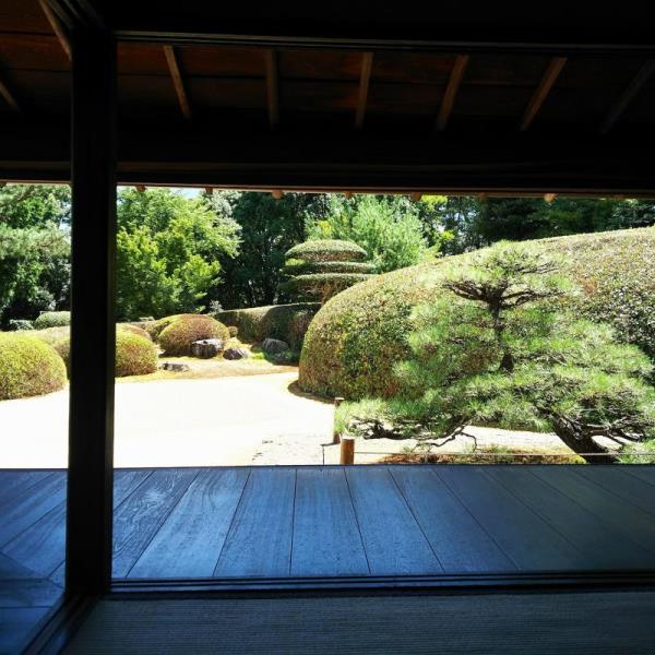 慈光院書院から眺望する庭園