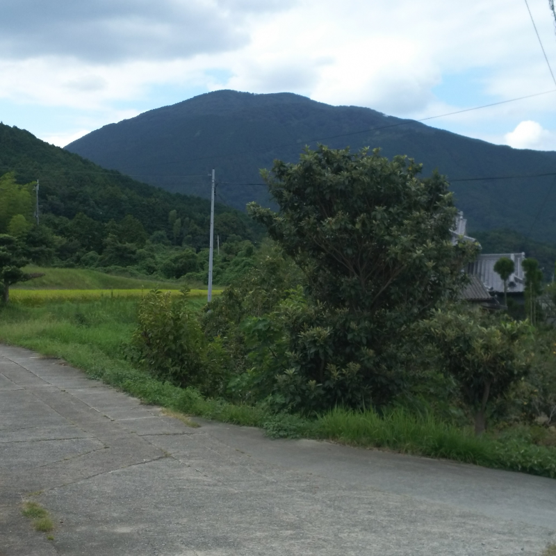 葛城山が眺望できる山麓線（主要地方道御所香芝線）沿い