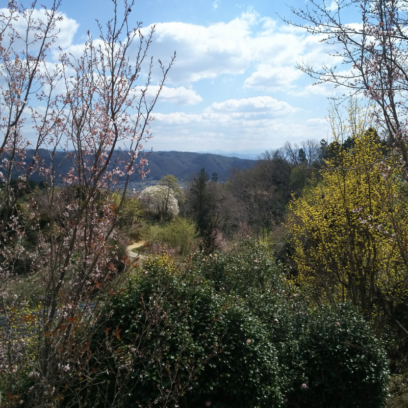 里山と矢田丘陵が眺望できる福貴畑の里3