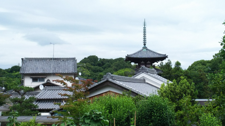 法輪寺が眺望できる自転車道沿い2