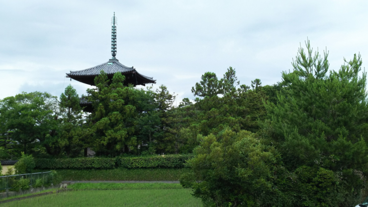 法輪寺が眺望できる自転車道沿い4