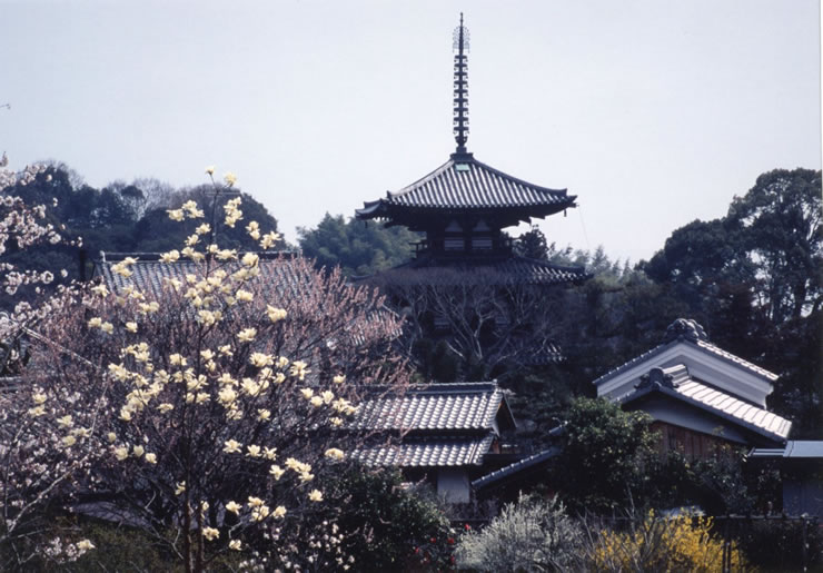 法輪寺が眺望できる自転車道沿い1