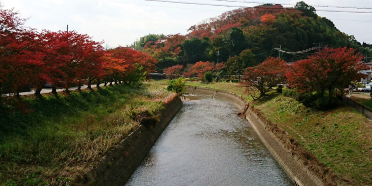 紅葉の季節　三室山を眺める