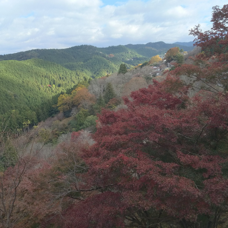 紅葉の季節　吉野山・下千本1