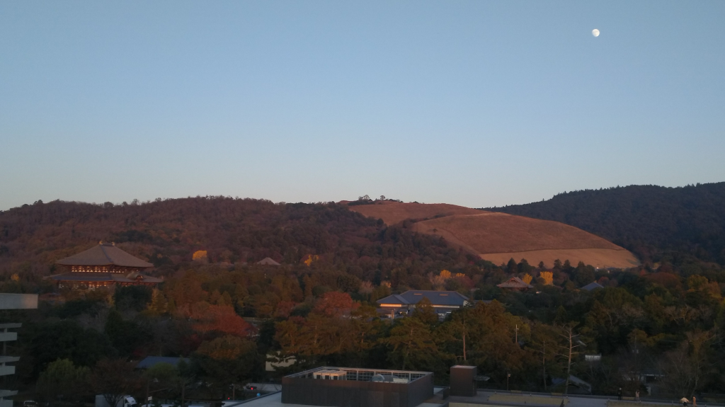 東側の眺め　東大寺大仏殿・若草山など3