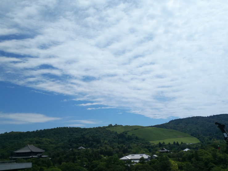 奈良県庁屋上から東側の眺め　東大寺大仏殿・若草山など1