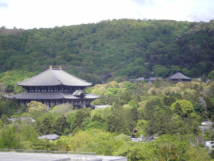 奈良県庁屋上から東側の眺め 拡大