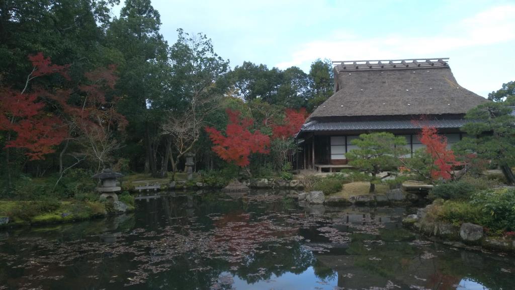 紅葉の季節の前園