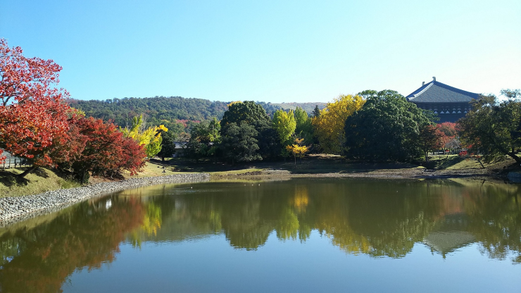 紅葉の季節の東大寺大仏殿が眺望できる大仏池