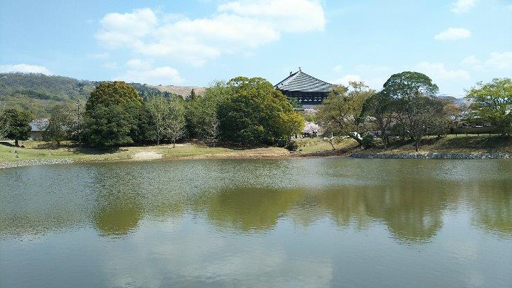 東大寺大仏殿が眺望できる大仏池
