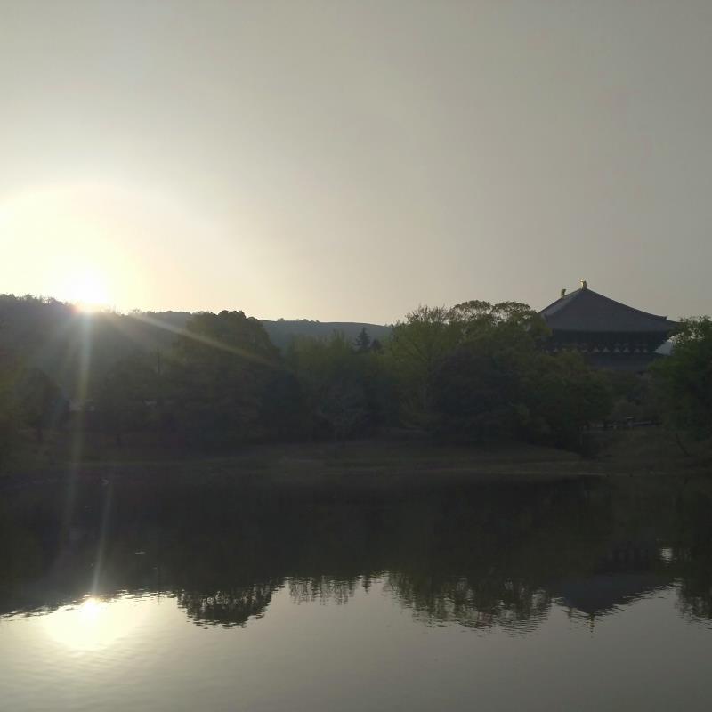東大寺大仏殿が眺望できる大仏池の日の出