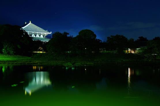 東大寺大仏殿のライトアップ