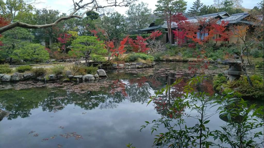 紅葉の季節の前園2