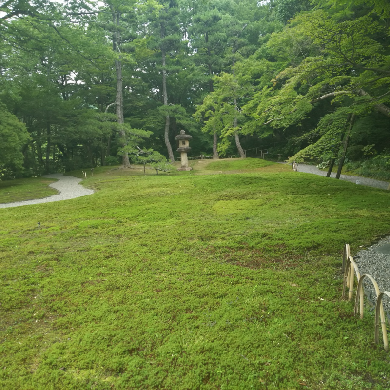 苔の庭1