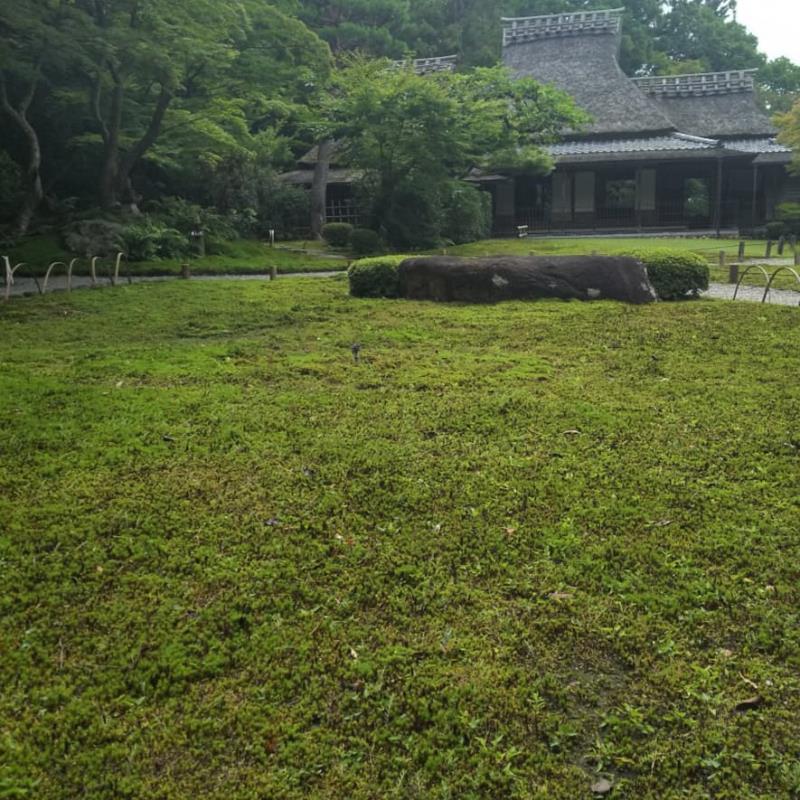 苔の庭2