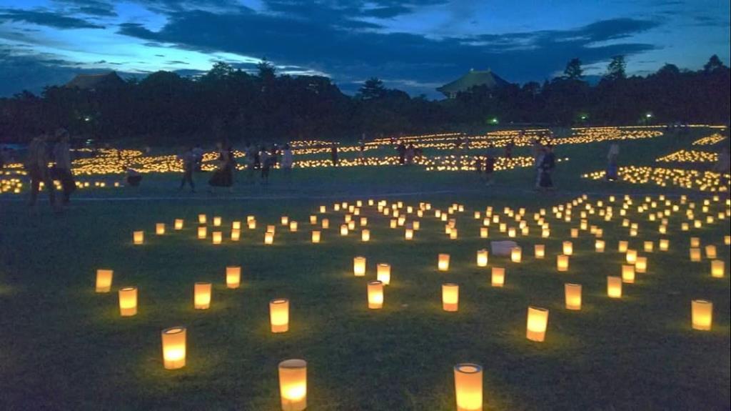 春日野園地　なら燈花会の様子 東大寺大仏殿と南大門を望む
