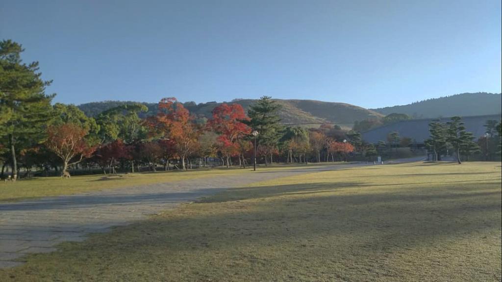 浮雲園地　紅葉の季節