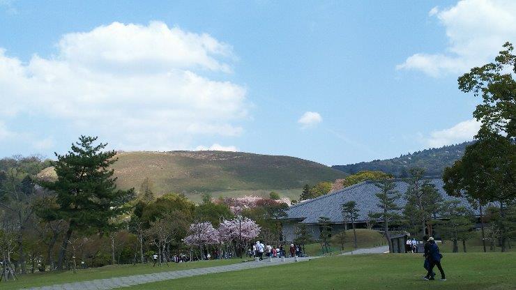 浮雲園地　桜の季節