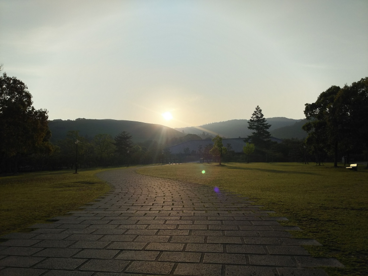 浮雲園地　日の出の様子
